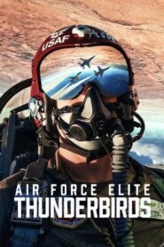 Les Thunderbirds : Élite de l’US Air Force